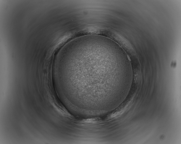 X0000098070072200804041135