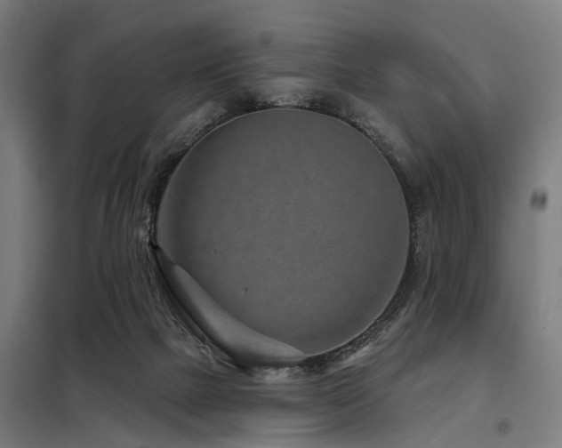 X0000098070073200804041135