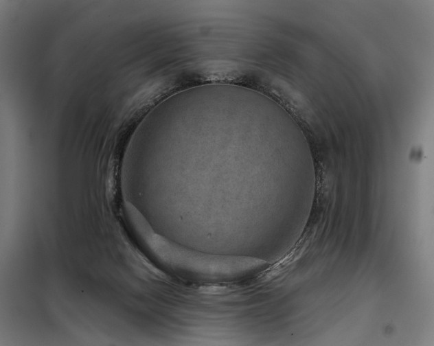 X0000098070074200804041135