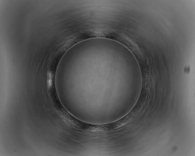 X0000098070075200804041135