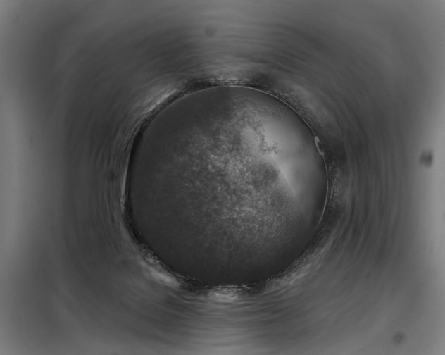 X0000098070076200804041135