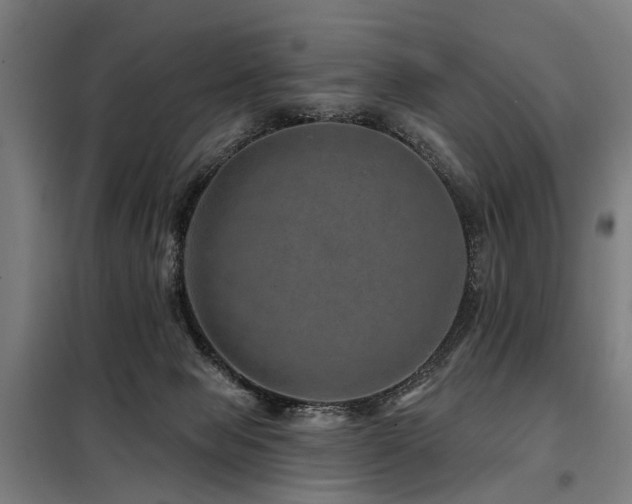 X0000098070077200804041135