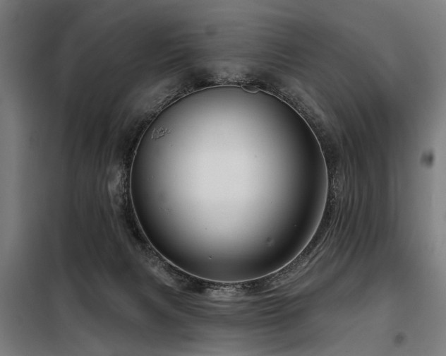 X0000098070079200804041135