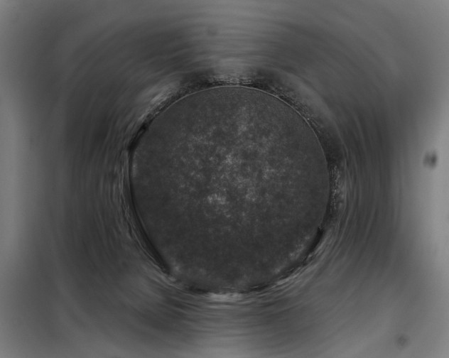 X0000098070080200804041135