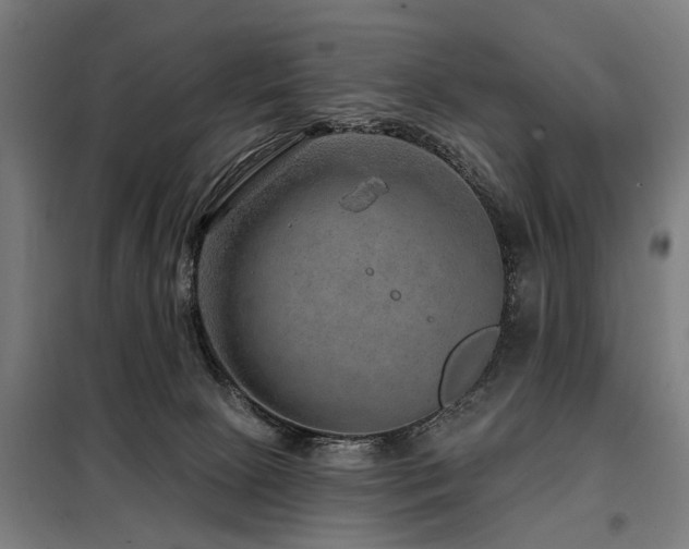 X0000098070081200804041135