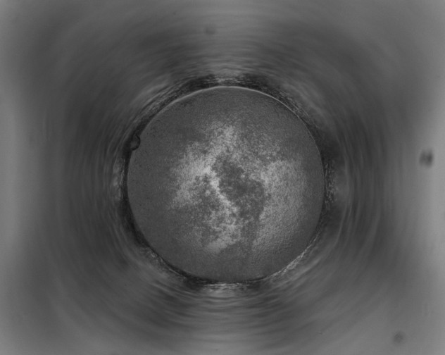 X0000098070082200804041135