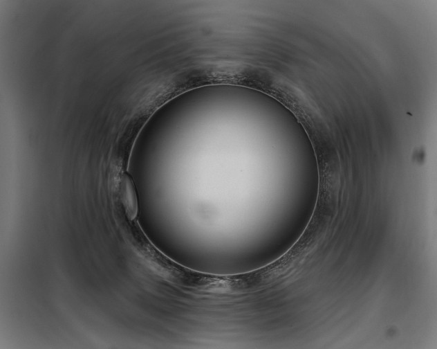 X0000098070083200804041135