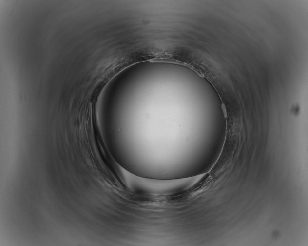 X0000098070084200804041135