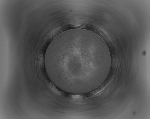 X0000098070085200804041135