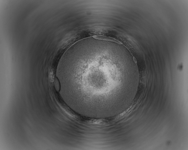 X0000098070086200804041135