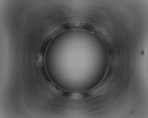 X0000098070087200804041135