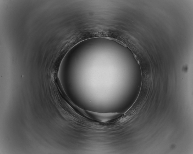 X0000098070088200804041135