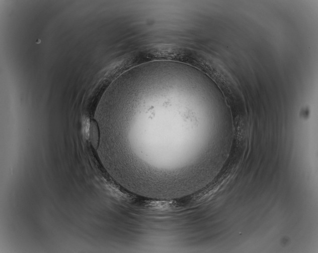 X0000098070089200804041135