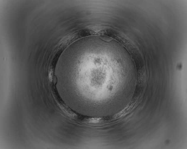 X0000098070090200804041135