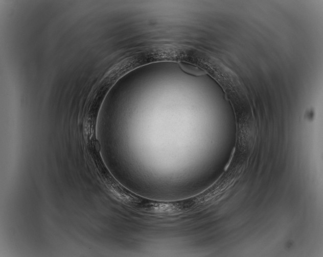 X0000098070091200804041135