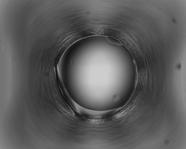 X0000098070092200804041135