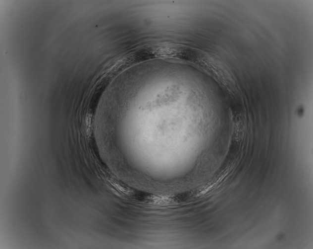 X0000098070093200804041135