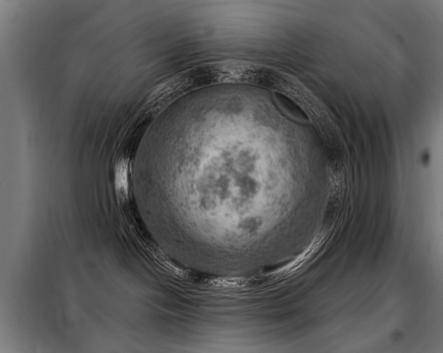 X0000098070094200804041135