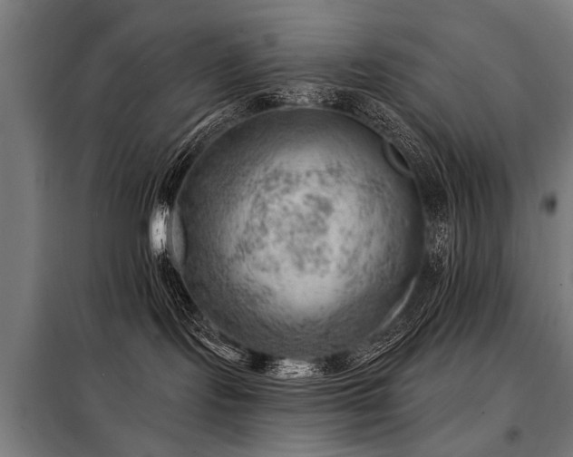 X0000098070095200804041135