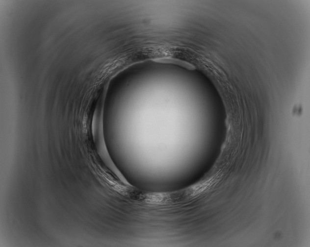 X0000098070096200804041135