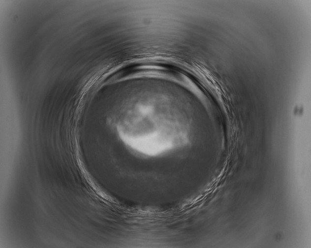 X0000098070097200804041135