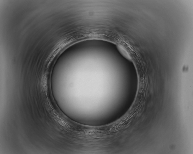 X0000098070098200804041135