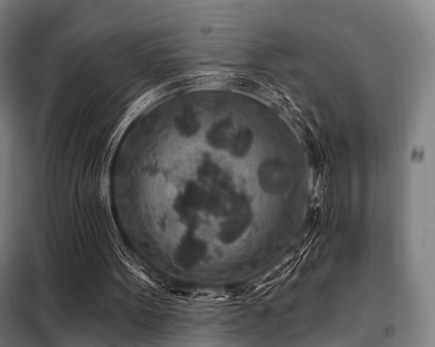 X0000098070099200804041135