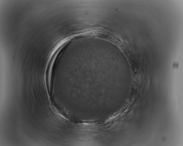 X0000098070100200804041134