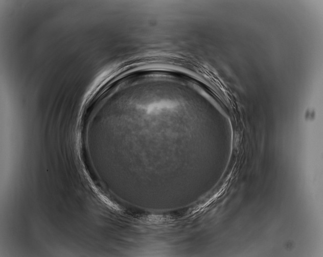 X0000098070101200804041134