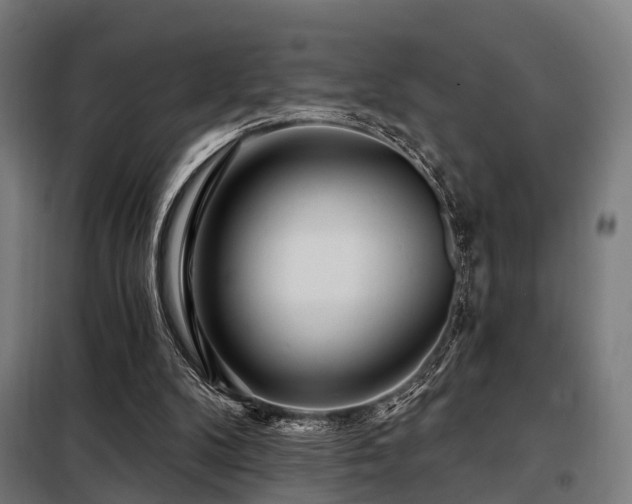 X0000098070104200804041134