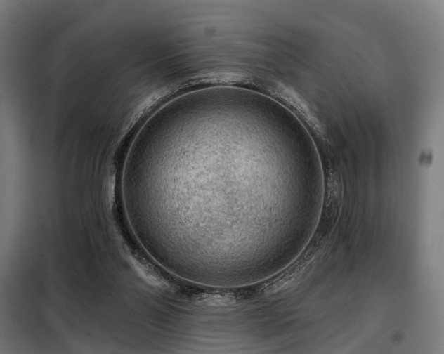 X0000098070110200804041134