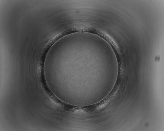 X0000098070113200804041134