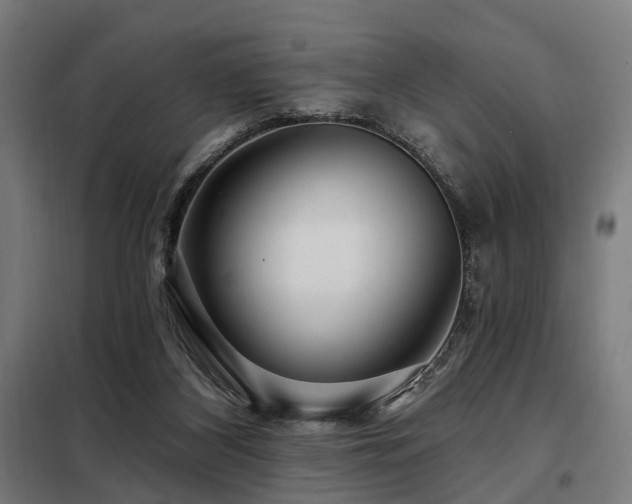 X0000098070116200804041134