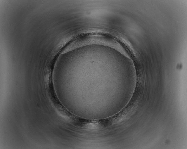 X0000098070119200804041134