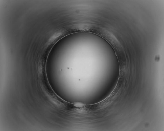 X0000098070120200804041134