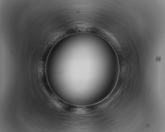 X0000098070121200804041134