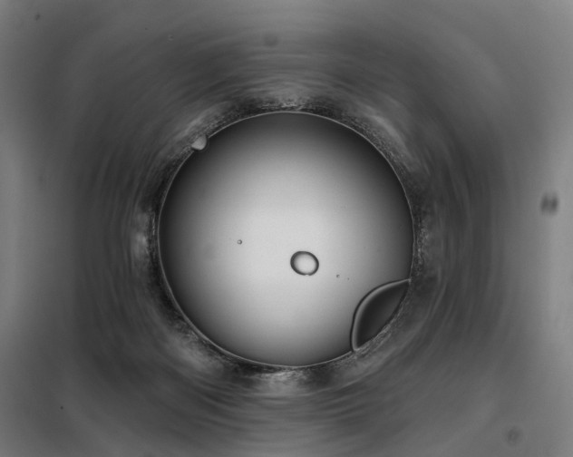 X0000098070122200804041134