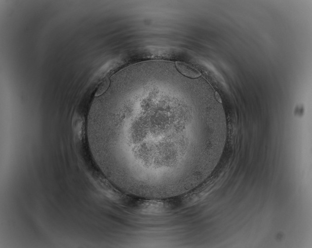 X0000098070123200804041134