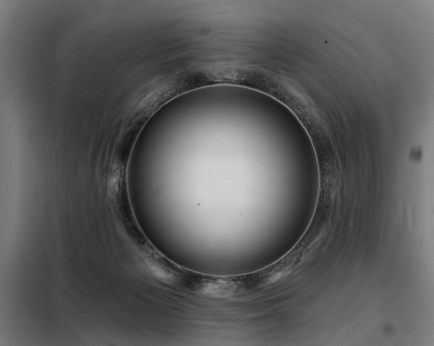 X0000098070125200804041134