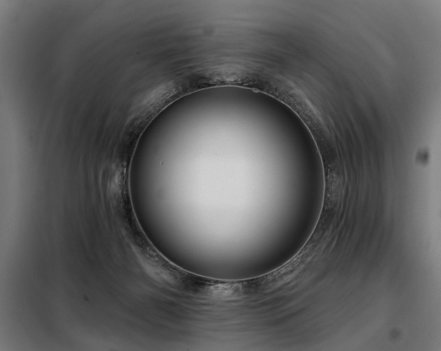 X0000098070126200804041134