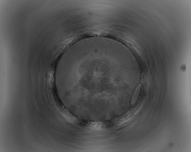 X0000098070127200804041134