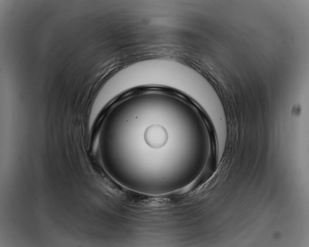 X0000098070128200804041134