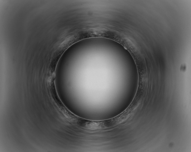 X0000098070129200804041134