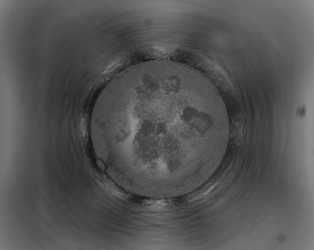 X0000098070131200804041134