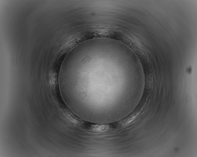 X0000098070135200804041134