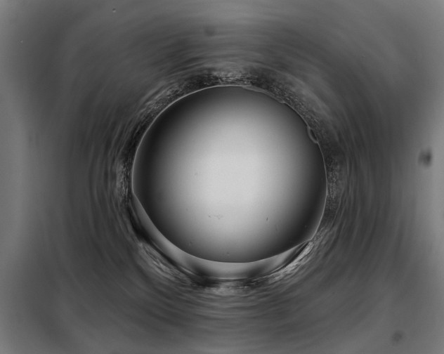 X0000098070136200804041134