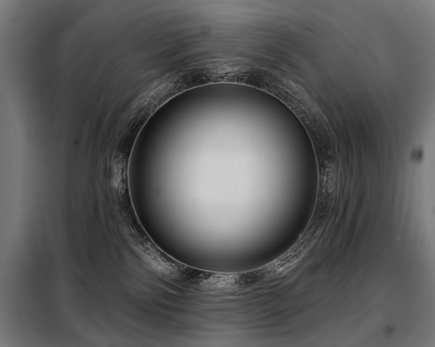 X0000098070138200804041134