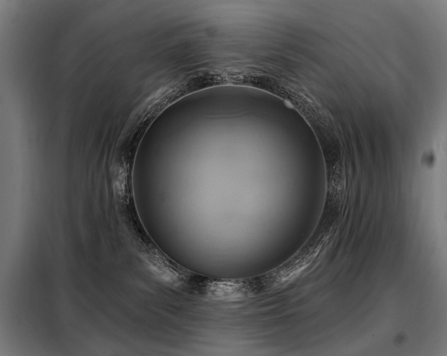 X0000098070139200804041134