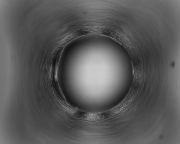 X0000098070141200804041134