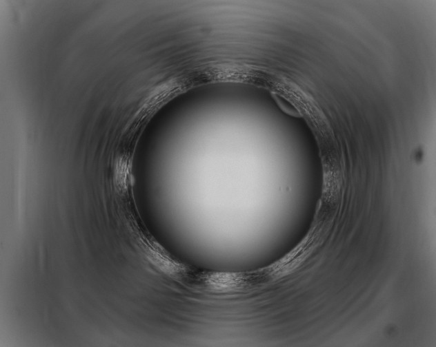 X0000098070142200804041134